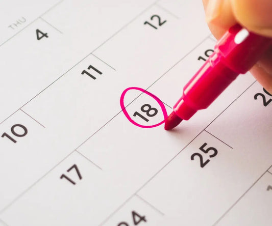 Perfect Timing: When to Take the FE Exam