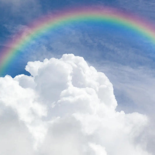 Beyond the Rainbow: The Science of How We See Color